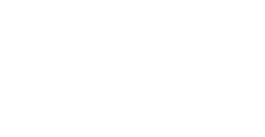 open card logo