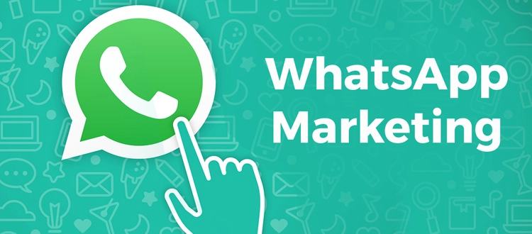 whatsapp marketing services